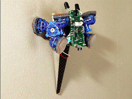 waalbot